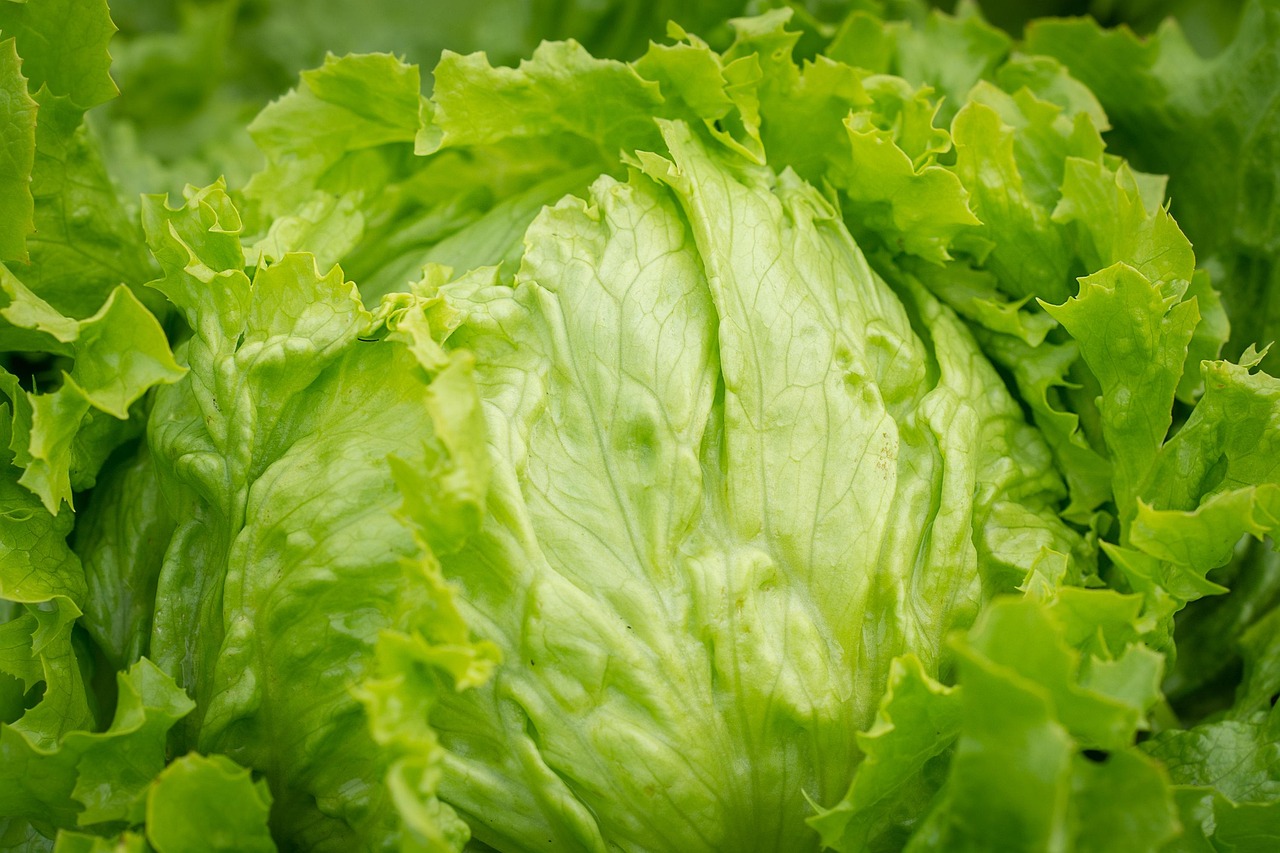 Verduras